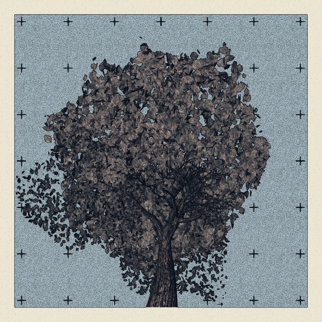 _argania[primaria] #132