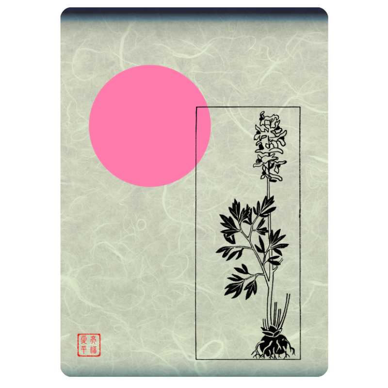 Zen flower card  #7