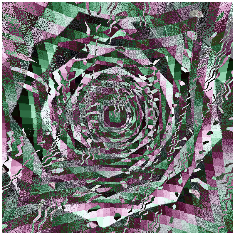 rosette #49