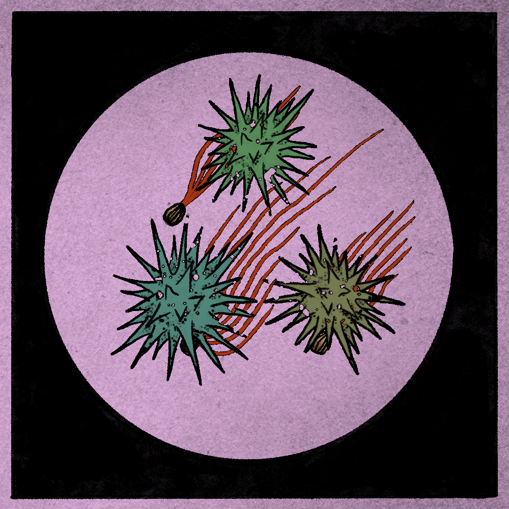 Microbes #226