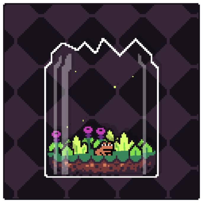 Toad Terrarium #171