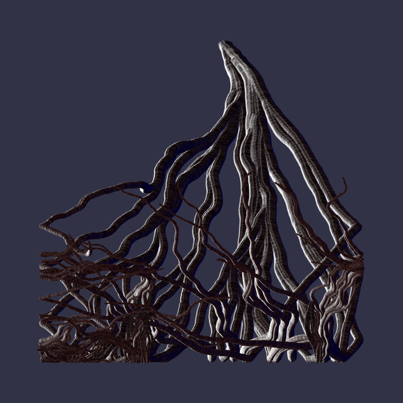 Root #42