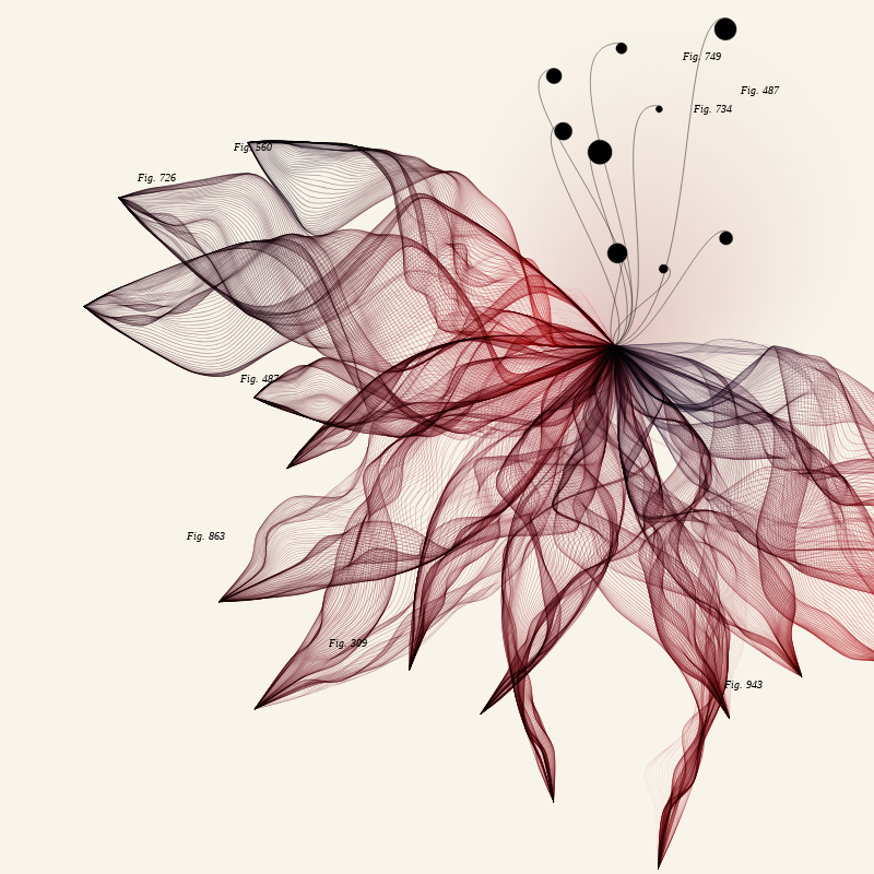 Herbarium #153