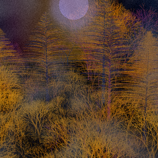 Moonlit Native Bush #3