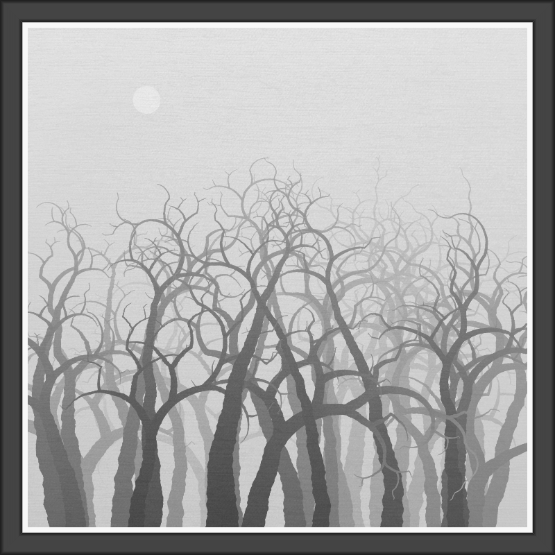 The Foggy Trees #31