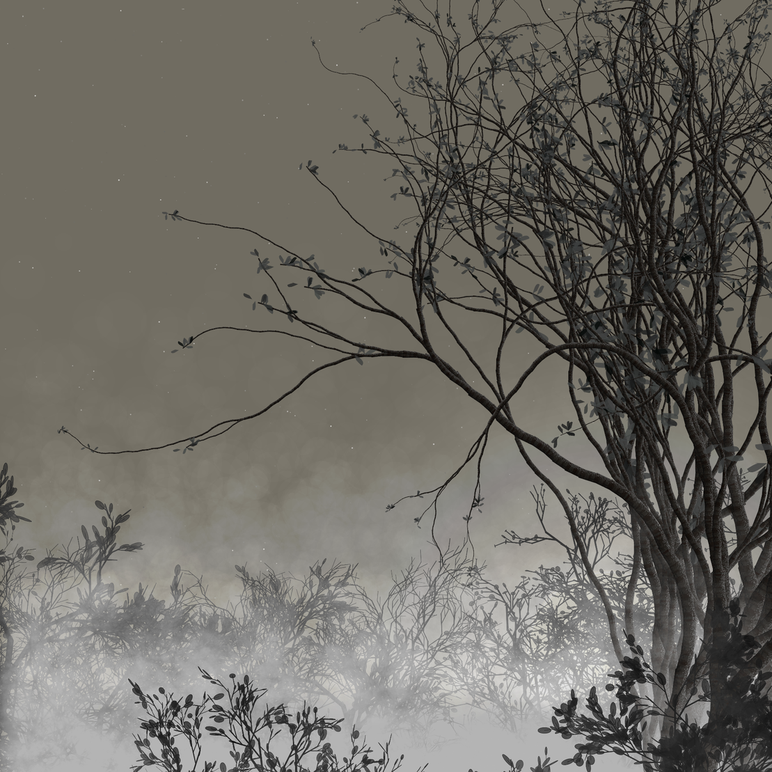 Morning Mist #266