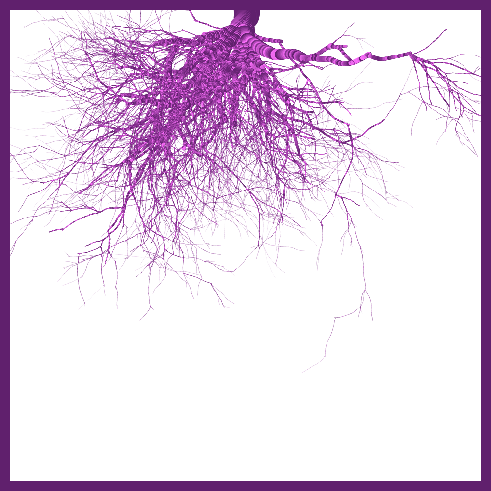 Arbres suspendus #95
