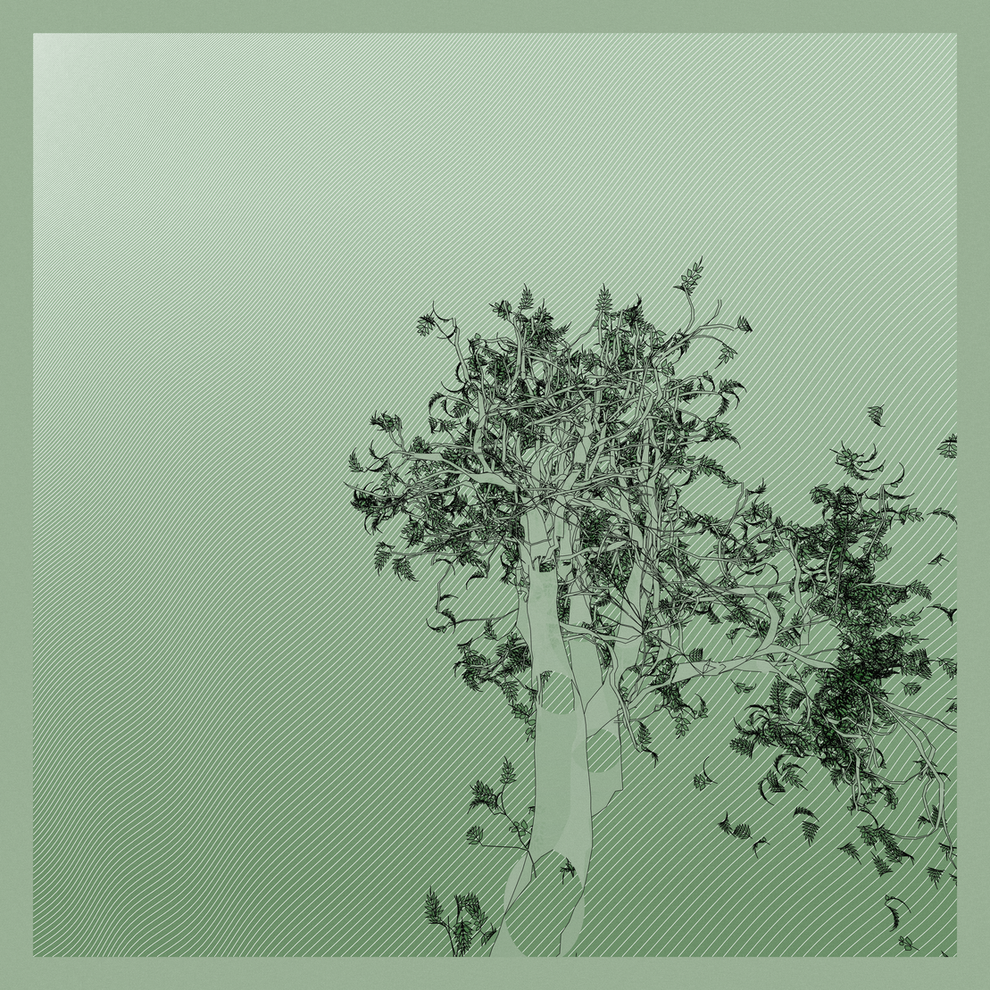 A Bugged Forest #866