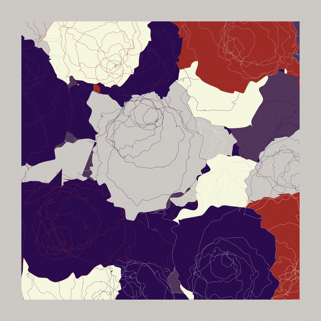 Roses #39