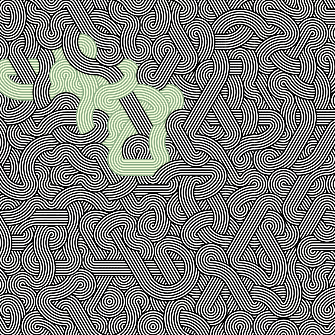 Wanderer #193
