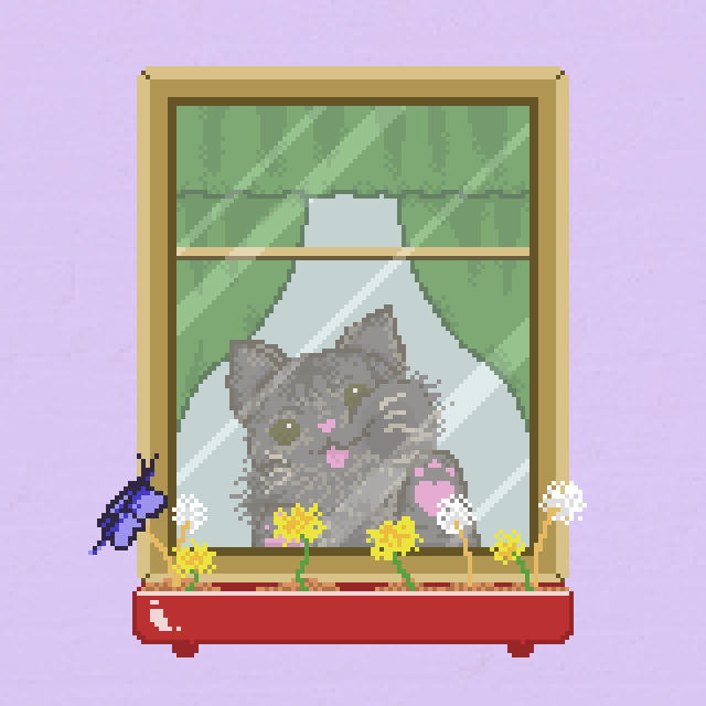 Window Catz #28