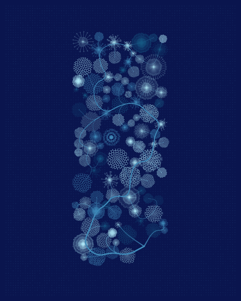 Florilegium #86
