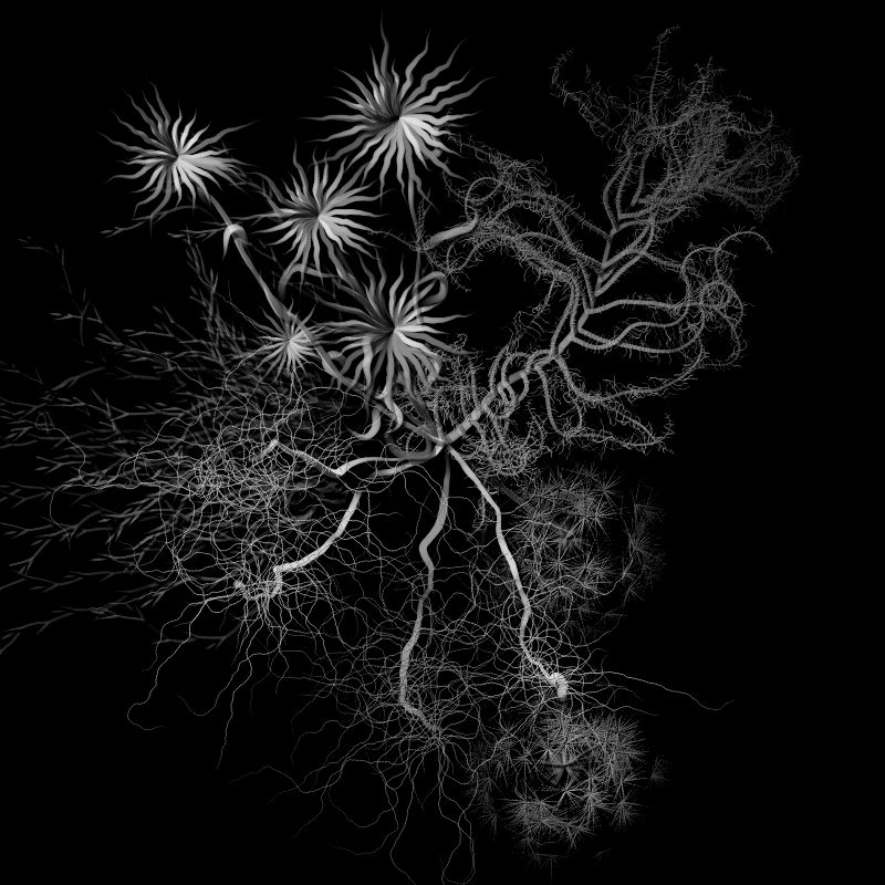 Botanical Ghosts #252