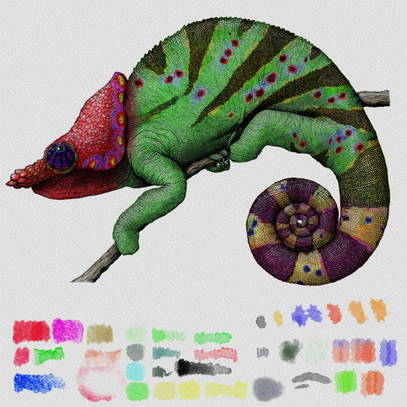 Colorful Cameleon #12