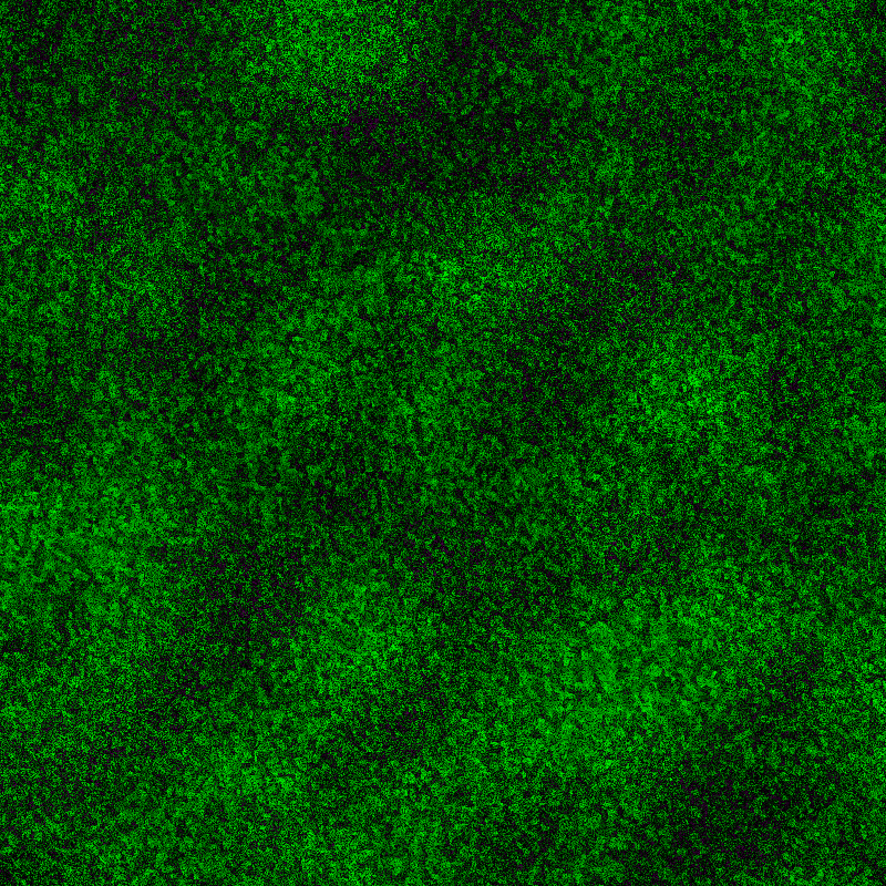 GREEN #11