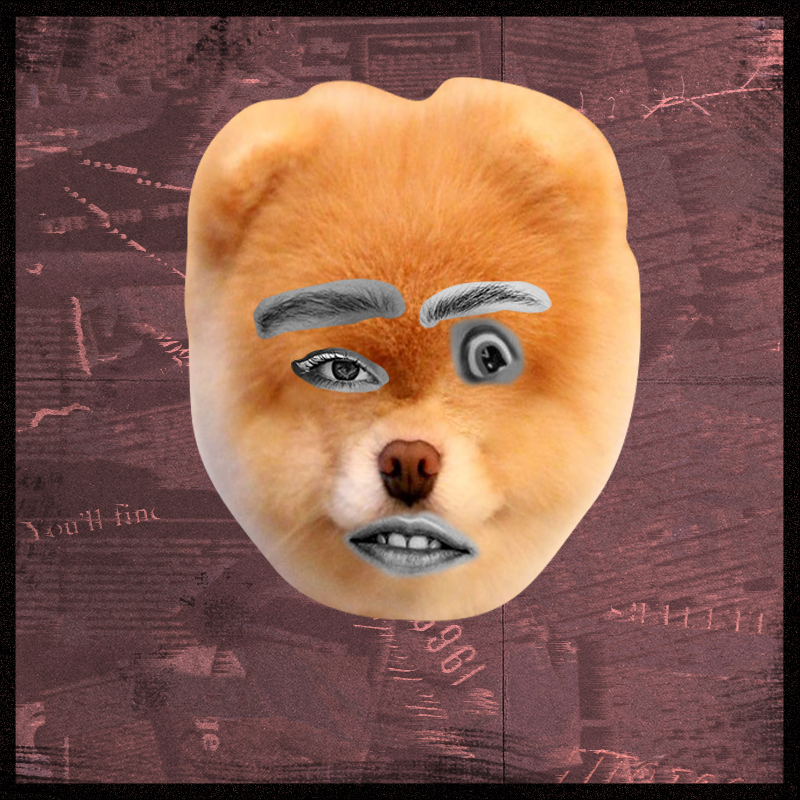 Doggenstein #10