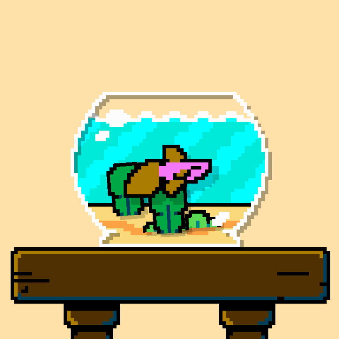 betta fish #522