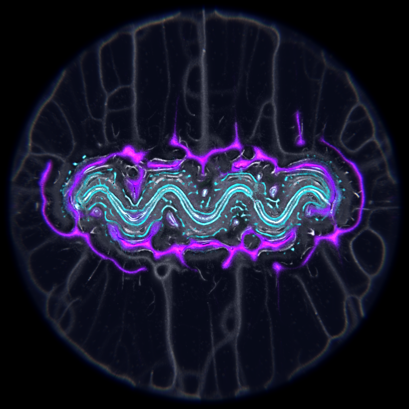 Ethereal Microcosm #1
