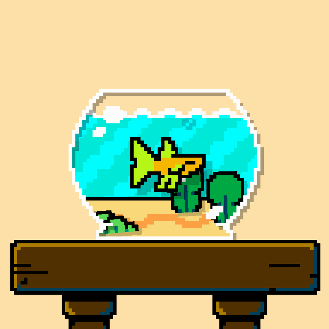 betta fish #24