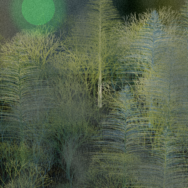 Moonlit Native Bush #23