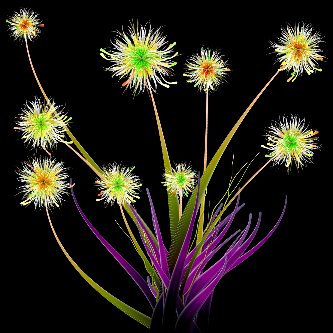 Milena’s Flowers #35
