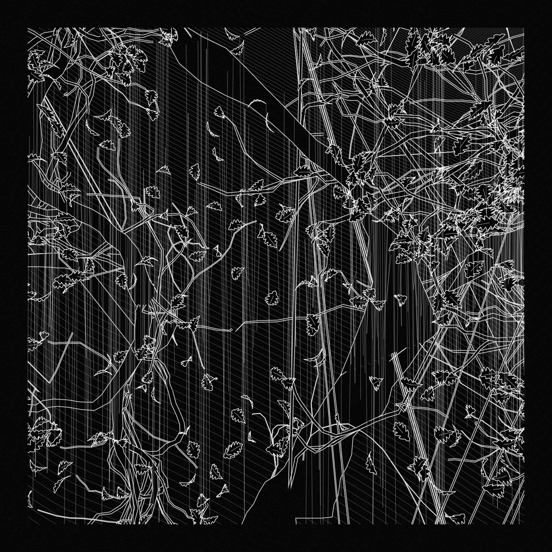 A Bugged Forest #731