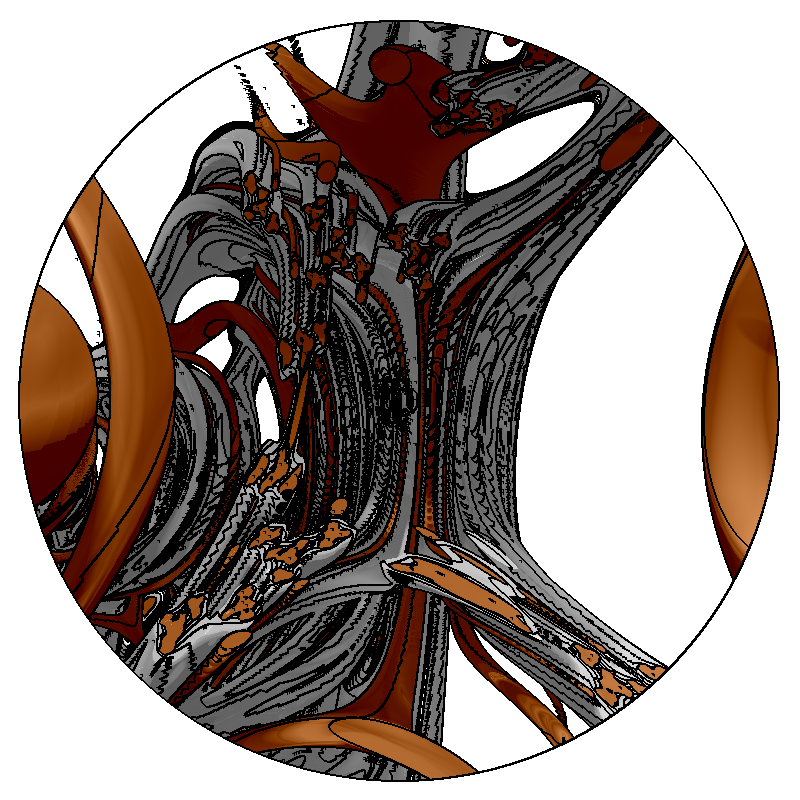 LL21 Anatomy #99