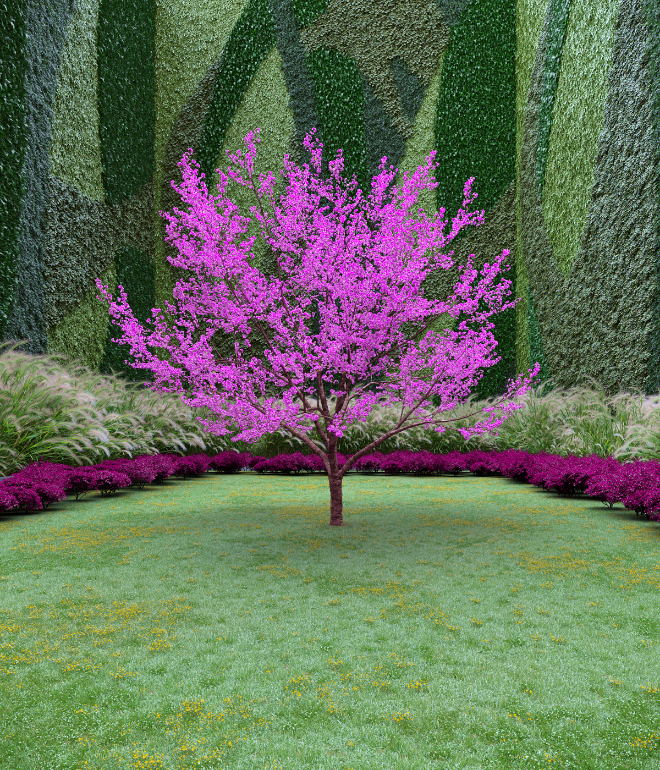 Garden of Imagination #35