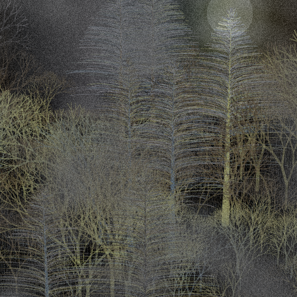 Moonlit Native Bush #120