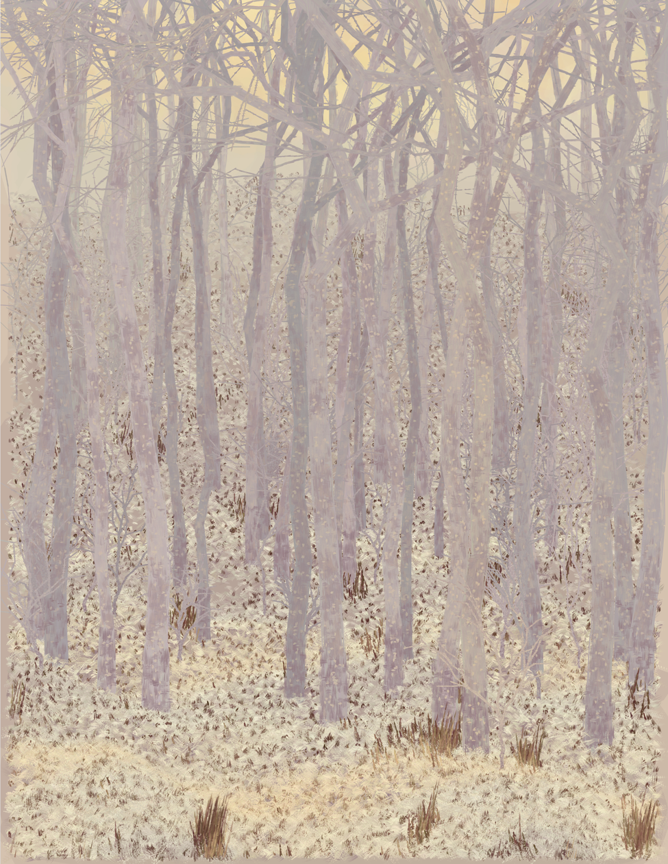 Deep Forest #98