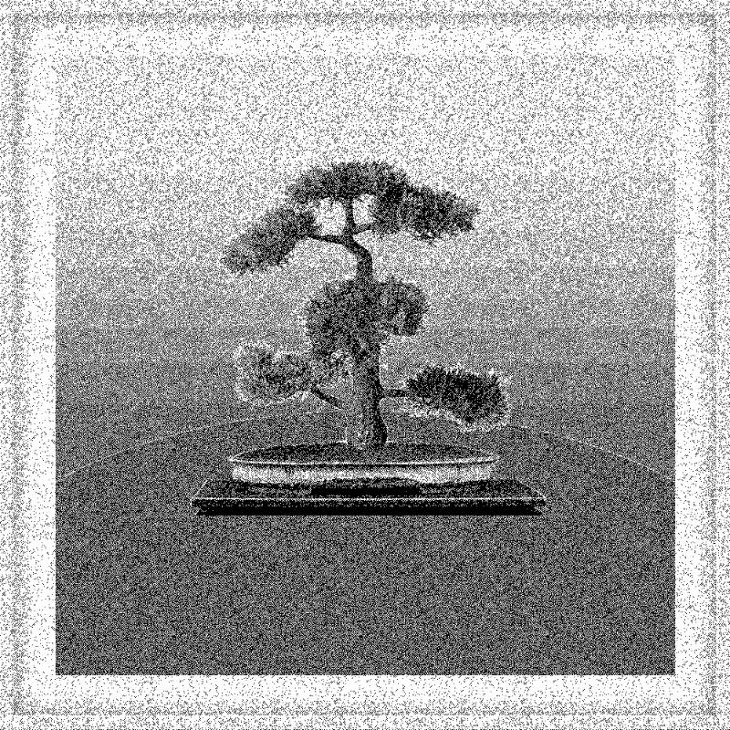 Bonsai Bonanza #862