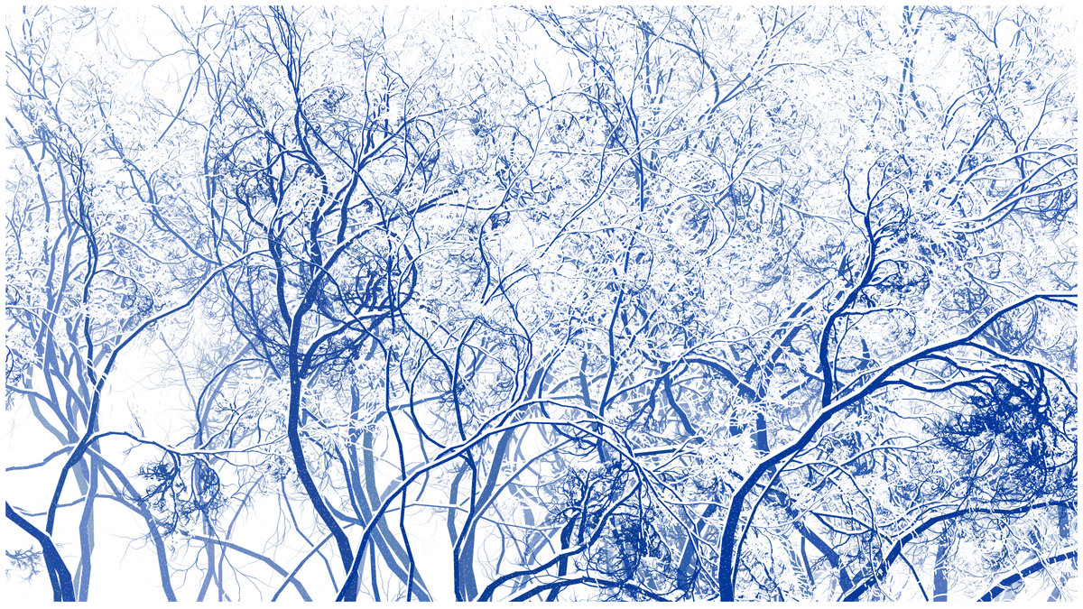 SCHNEEWALD #112