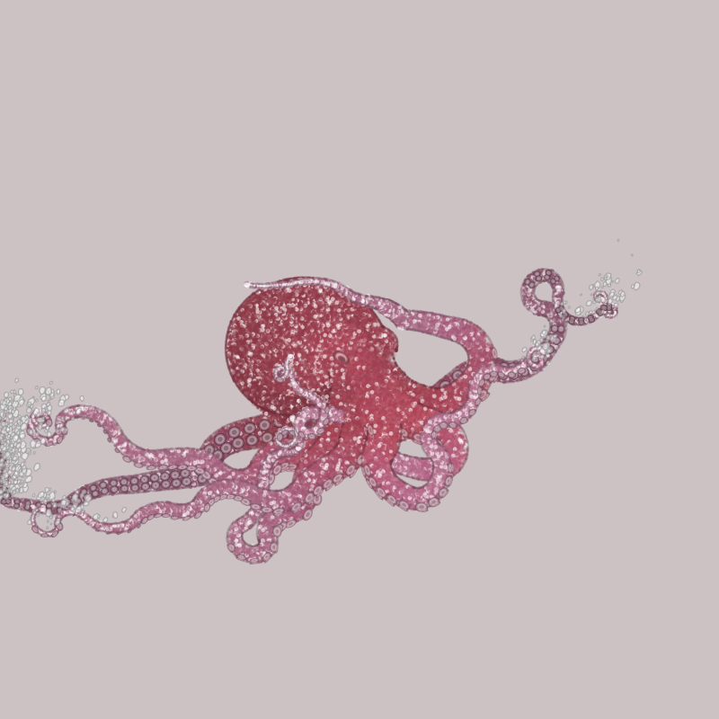 the generative octopuses #70