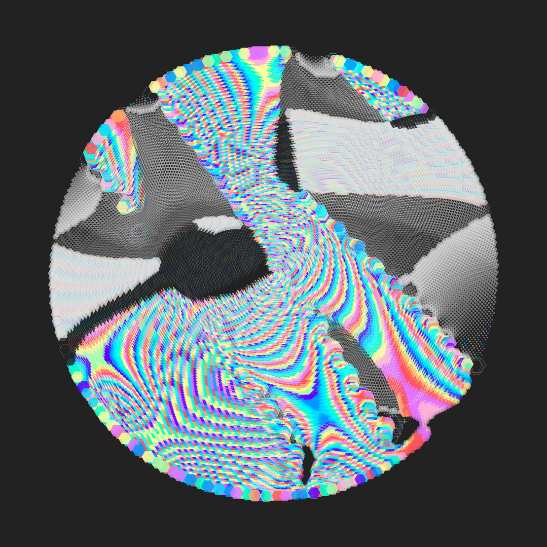 Still C #31009