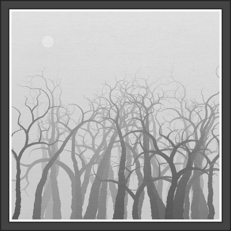 The Foggy Trees #12