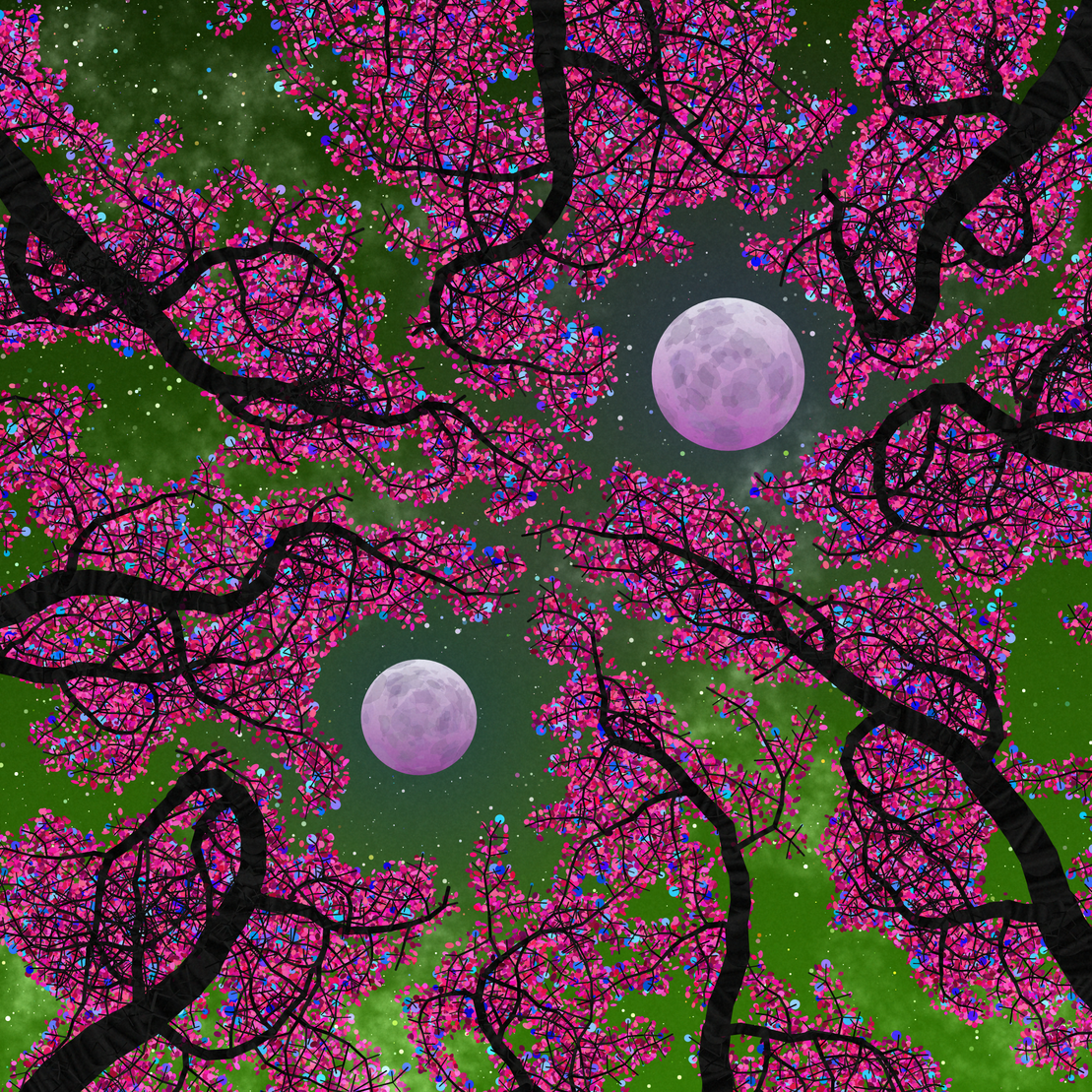 Tree Skyness #14