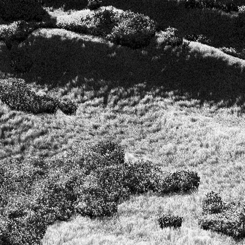 California Hills in Late Sun #200