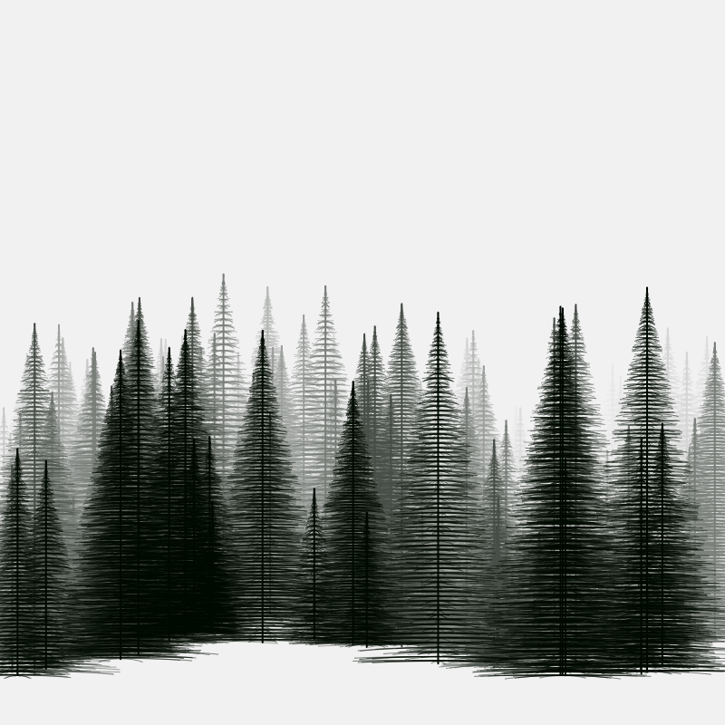 Pine trees in the cold #15