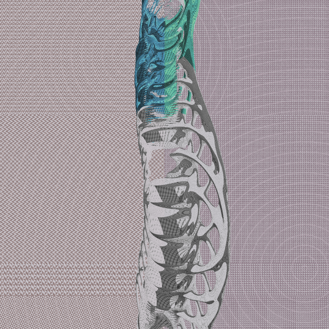 Long, Thin, Tubular Structure #72