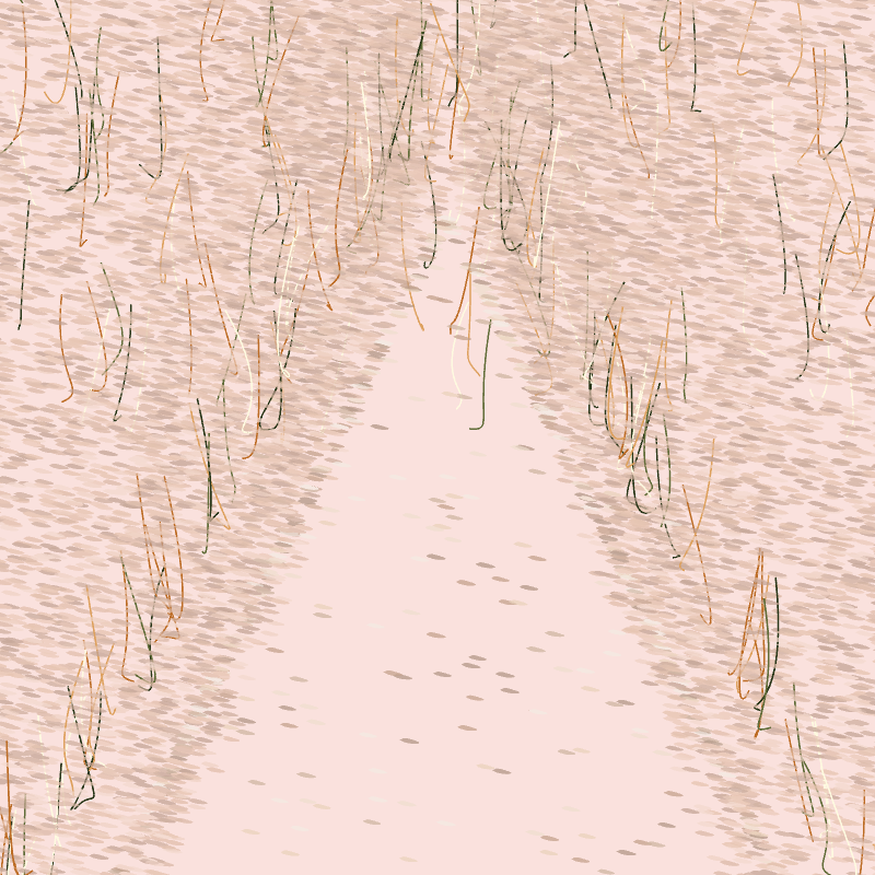 Forest path #5