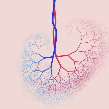 capillary trees #14