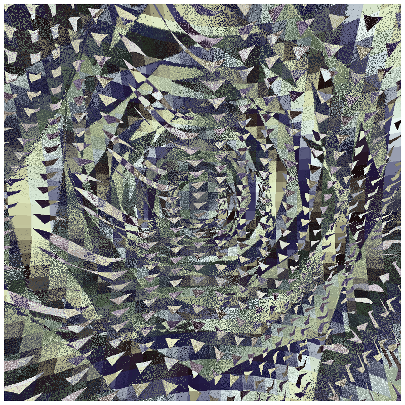 rosette #62