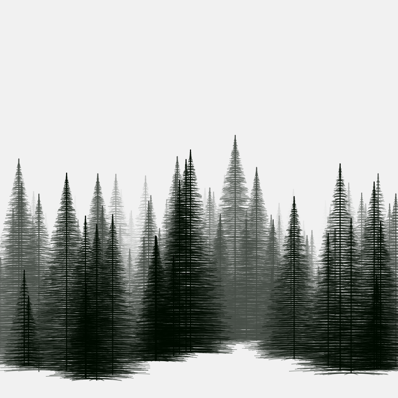 Pine trees in the cold #20