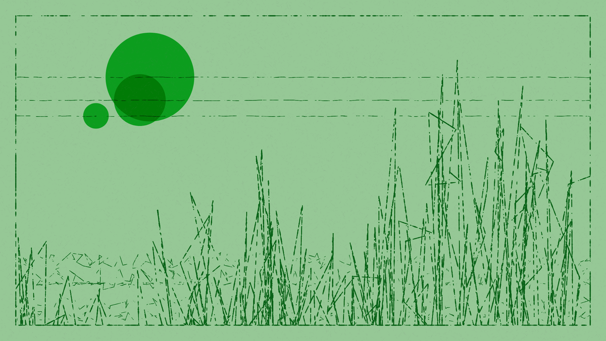 scratches & circles: landscape edition #21
