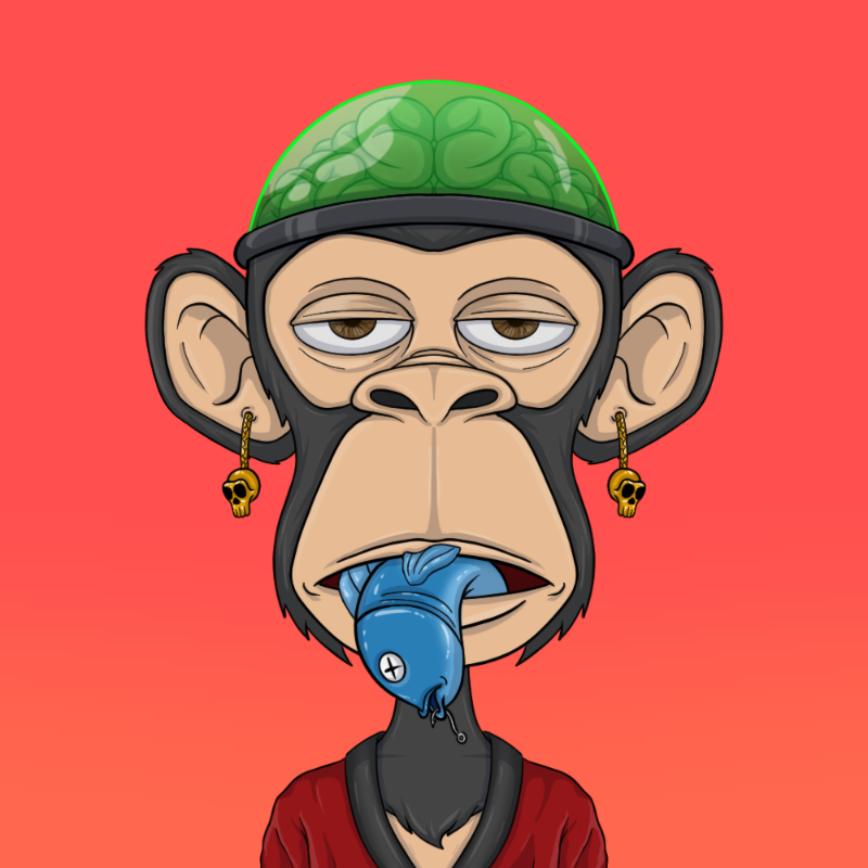 chimpantez #464