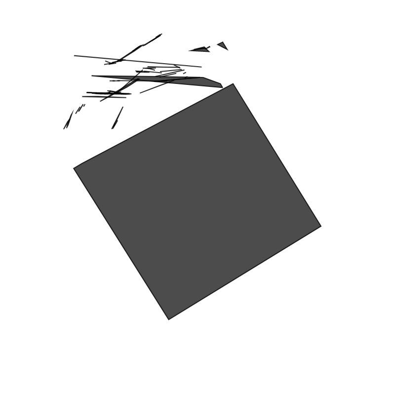 Fracture #239