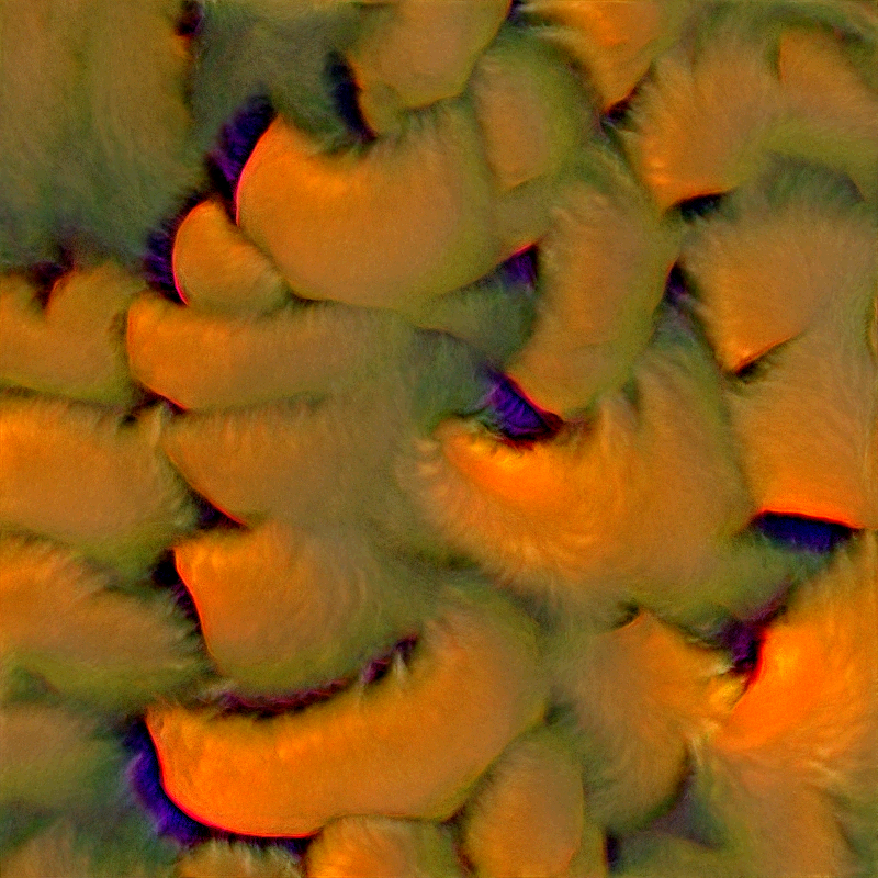 Genomes #1531