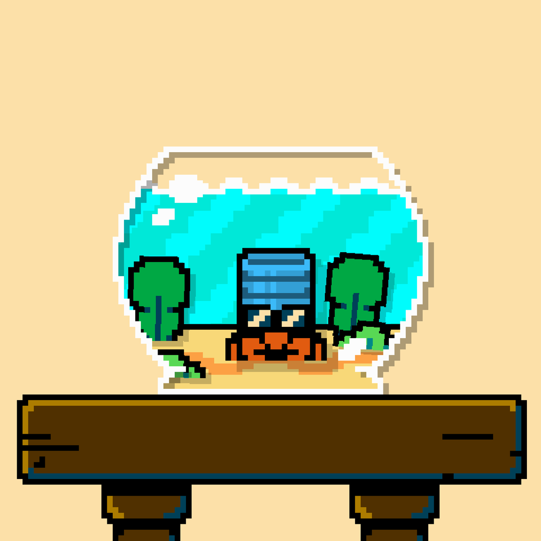 hermit crab #13