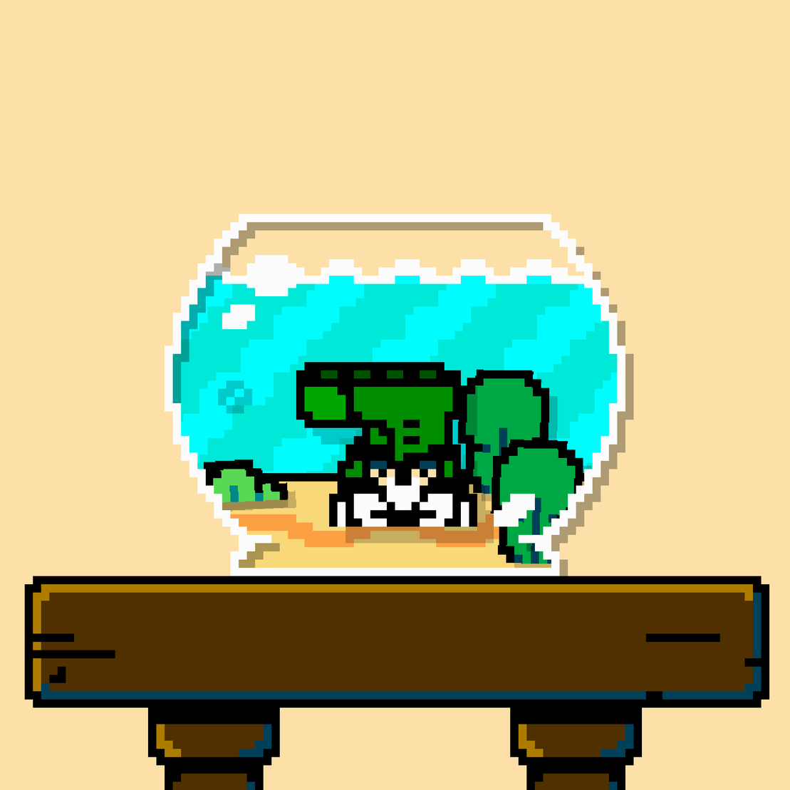hermit crab #66