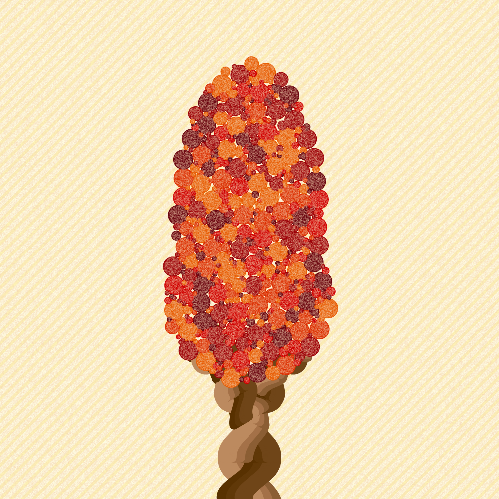 AUTUMN TREE #28